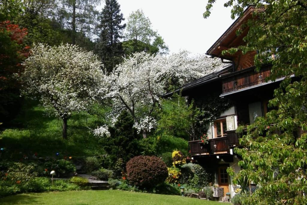 Alpenrelax Haus Weidmannsheil Wohnen Im Romantischen Forsthaus Werfen Exterior foto