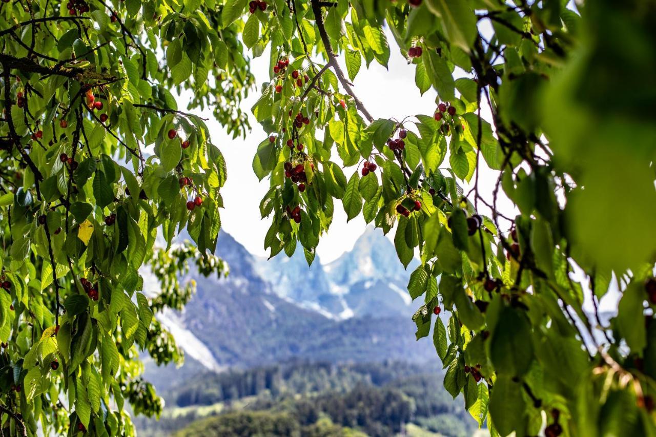 Alpenrelax Haus Weidmannsheil Wohnen Im Romantischen Forsthaus Werfen Exterior foto
